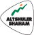 Altshuler Shaham Group